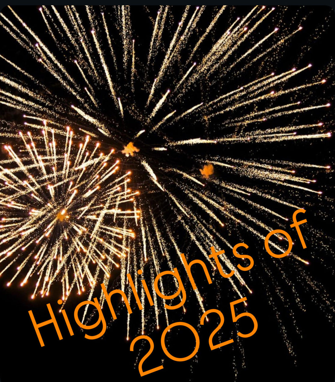 Highlights of 2025