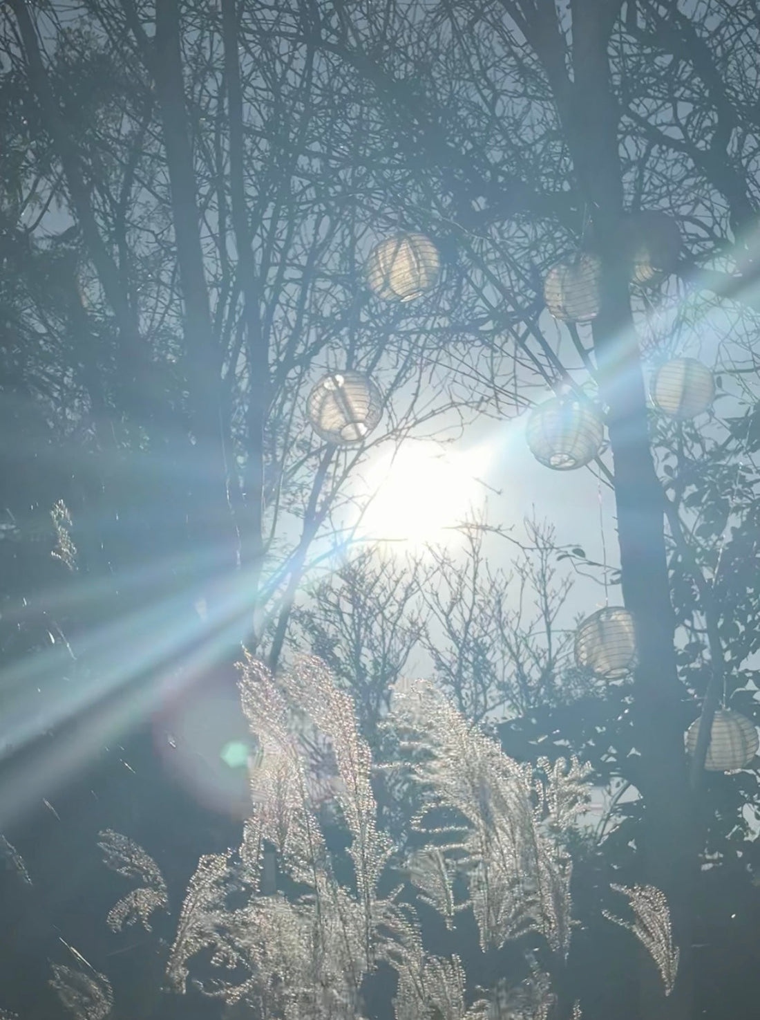 It's a chilly start to January