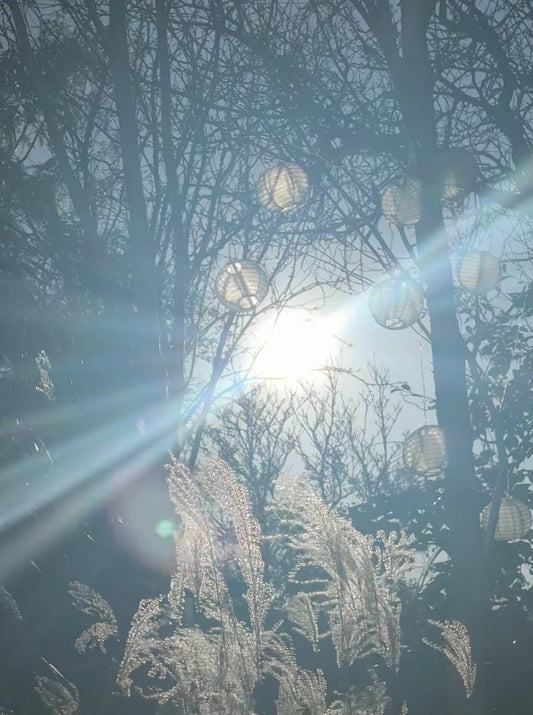 It's a chilly start to January