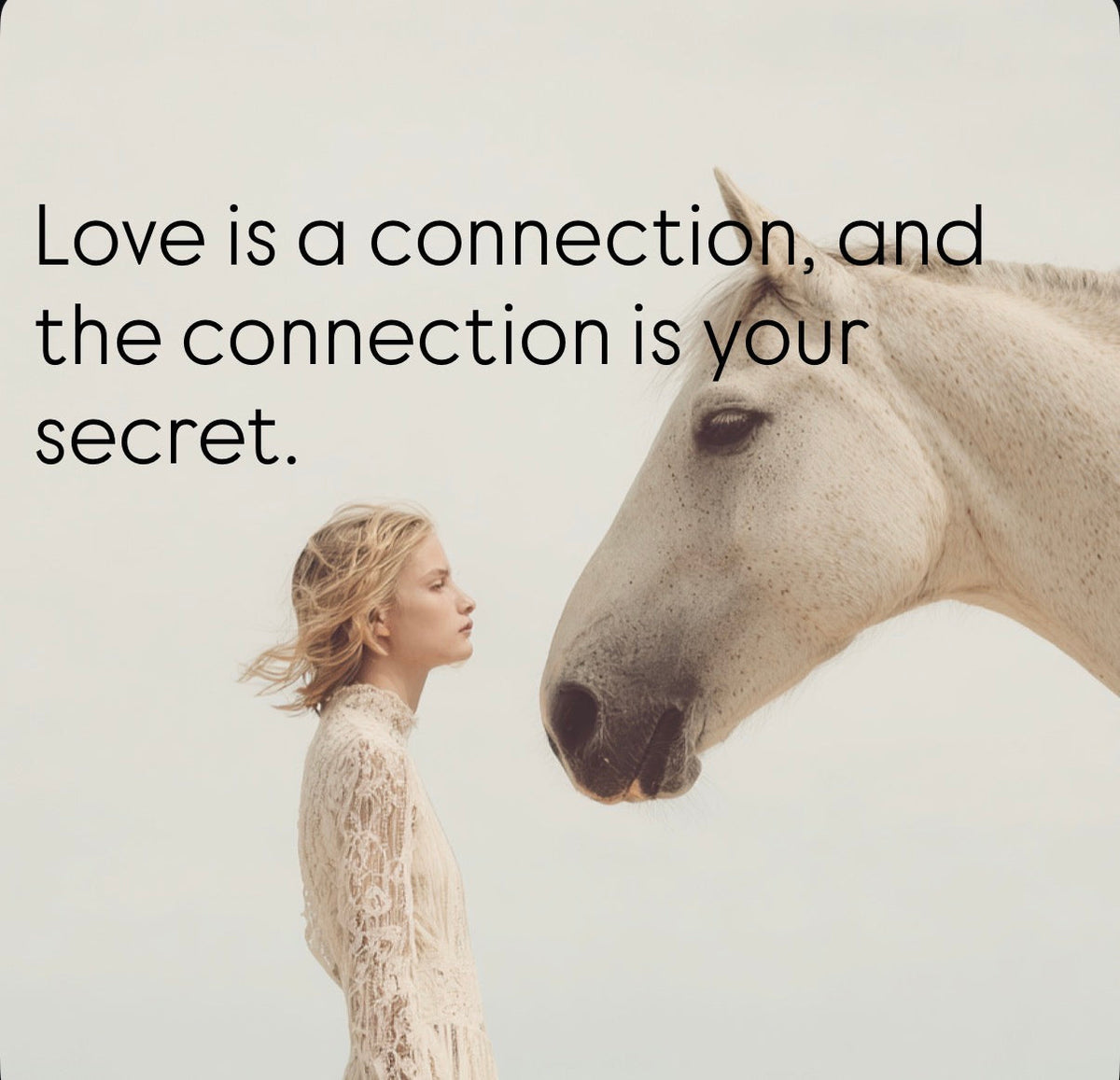 Love Letters