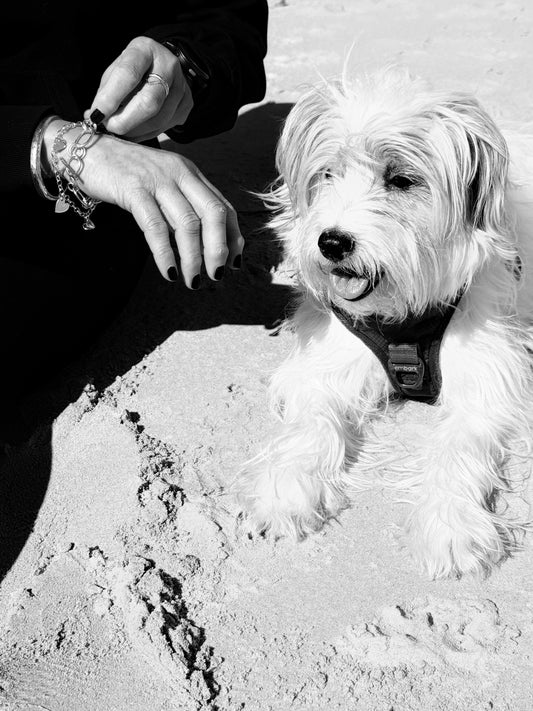 Silver Linked Bracelet with T-Bar